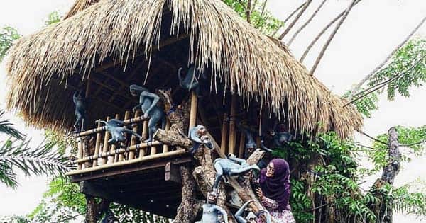 Enjoy the tree house