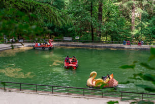 6xpcs2whypkaqzcrv8c7mmwguzmg tourist%20enjoying%20boat%20ride%20in%20%20van%20vihar%20national%20park