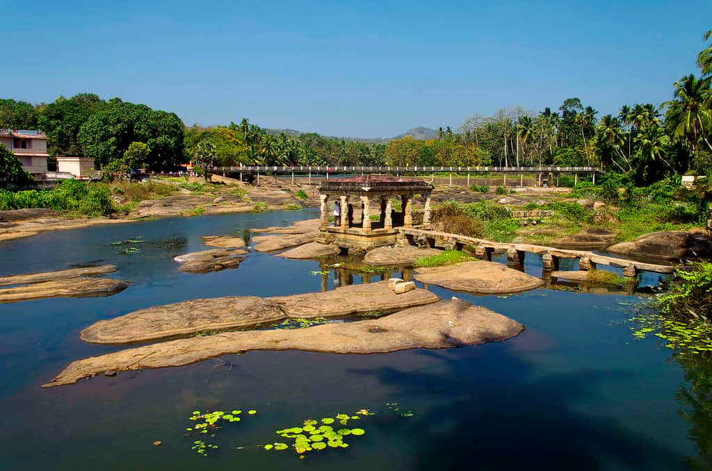 Thirparappu Falls, <em>Kanyakumari</em>