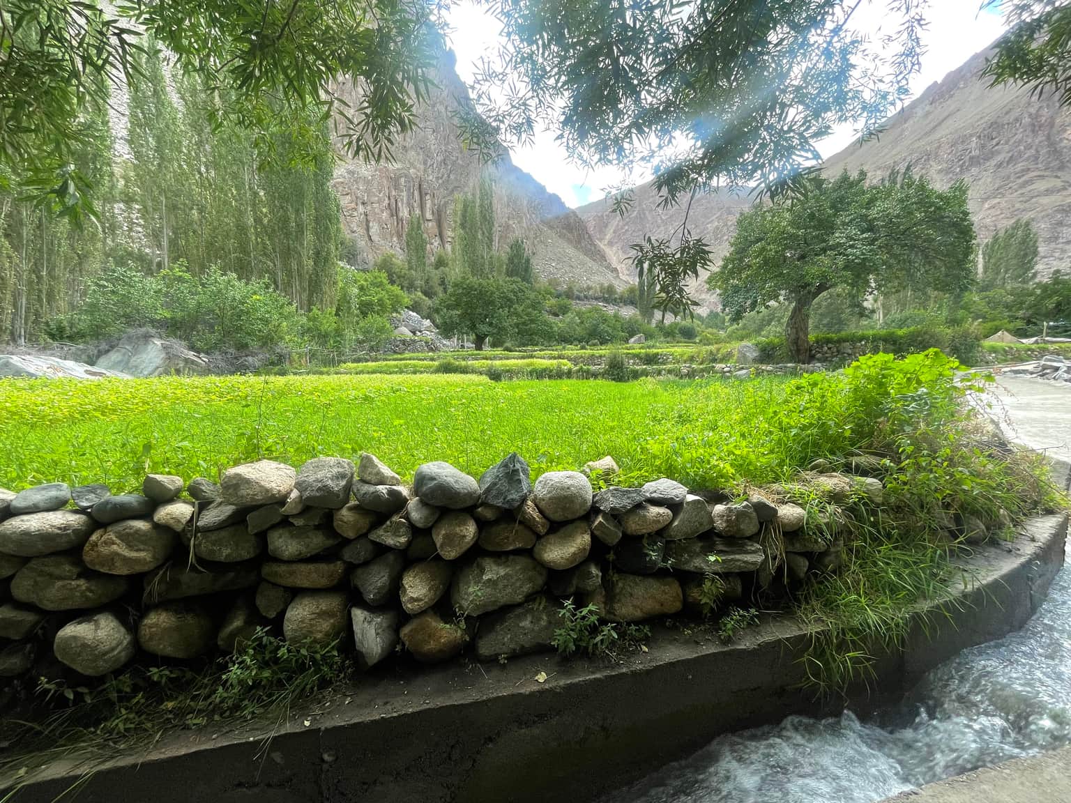 Photo from Shaila Asangi's trip