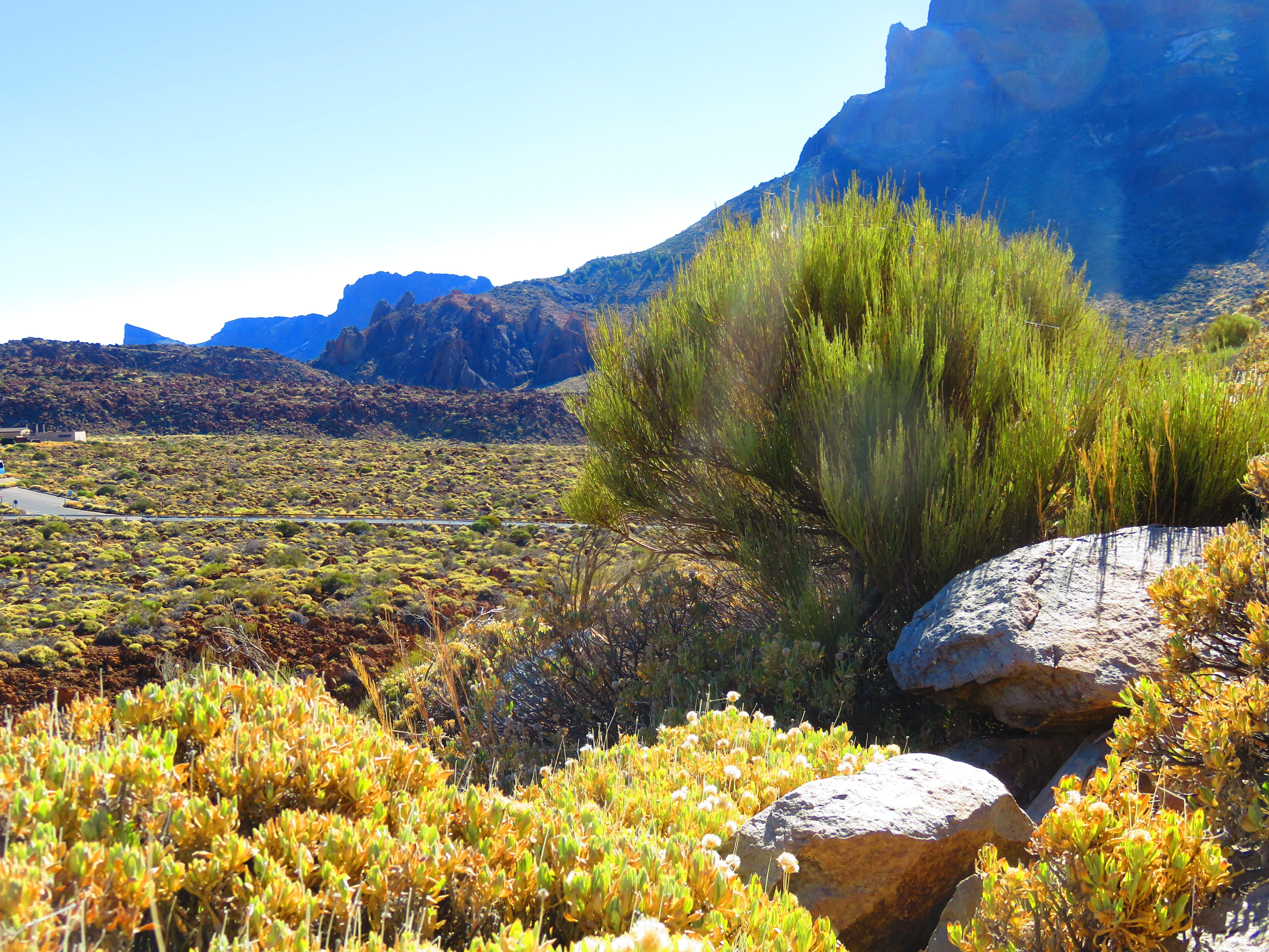 Things To Do In Tenerife