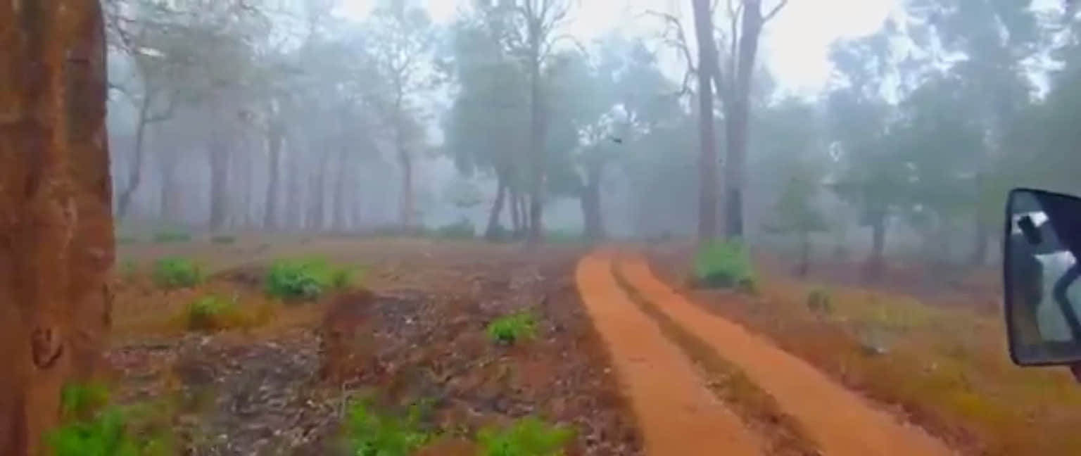 Photo from Gudakesa Chaturvedi's trip