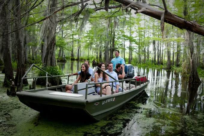 Large Airboat Swamp Tour with Transportation from New Orleans