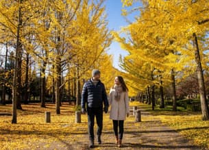  Nishat Bagh in Autumn