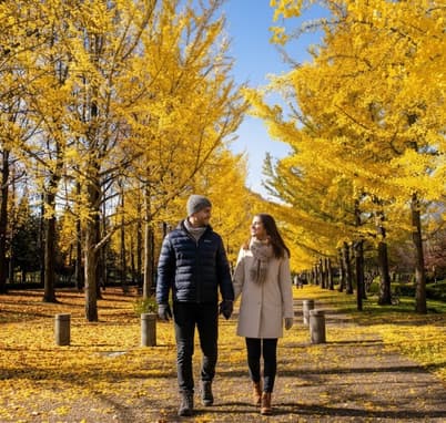 Nishat Bagh in Autumn