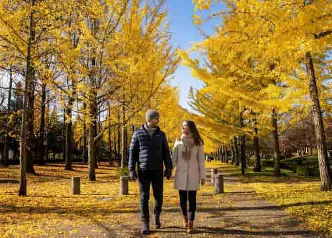 Nishat Bagh in Autumn