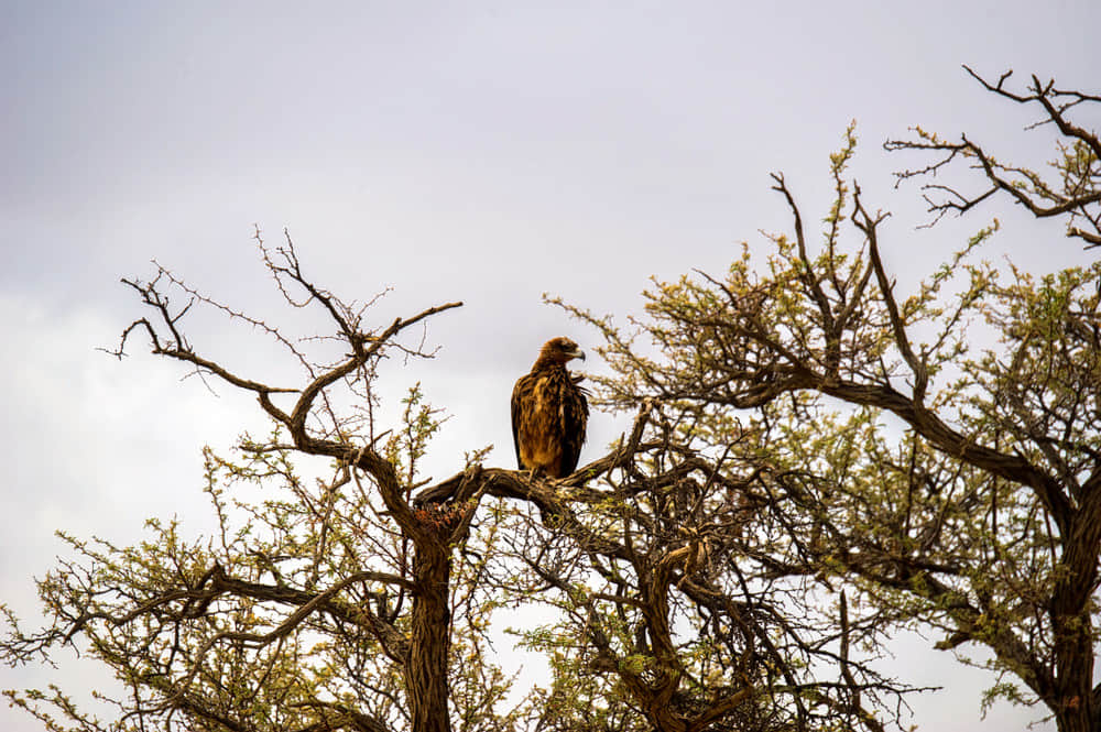 Marine National Park, <em>Kutch</em>