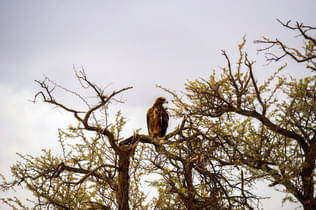 6z4idwn61ga9o1prayqgsr33yb47 1585056457 shutterstock 1542501998