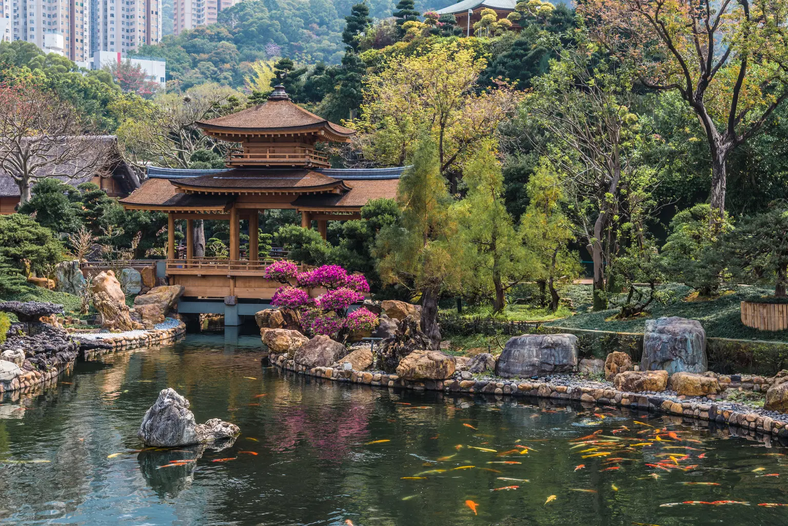 <em>Hong Kong</em> Tour Packages From Nashik 