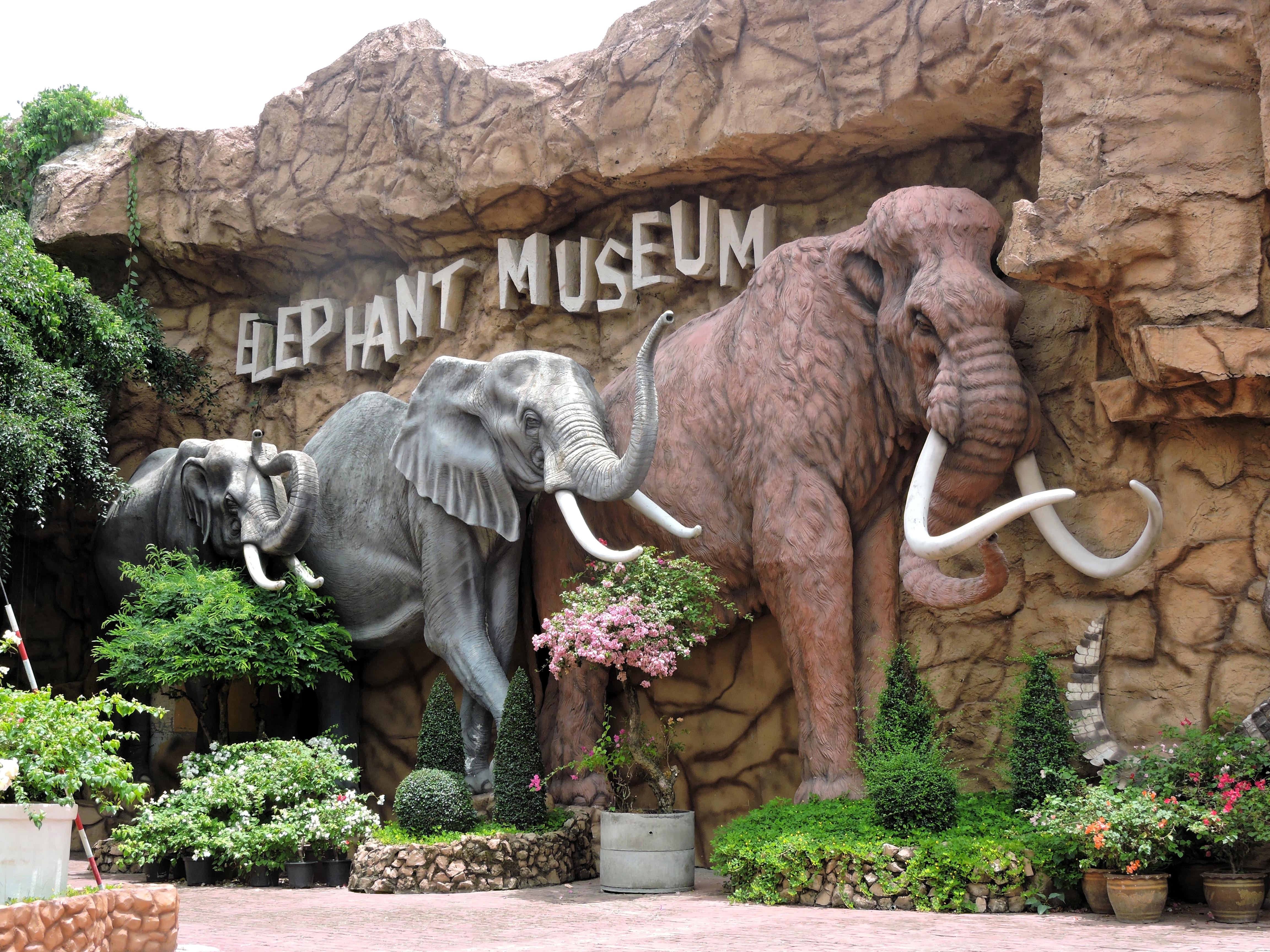 Visit the Elephant Museum