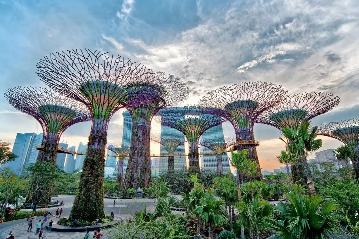 Gardens By The Bay Tickets, Singapore