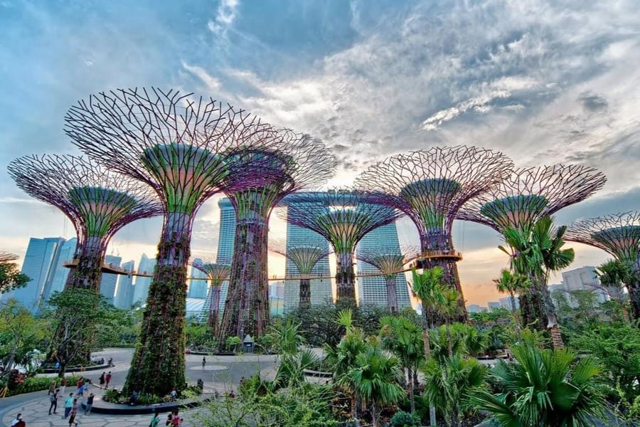 Gardens By The Bay Tickets Image