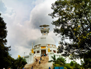 6zs6co0ekgk1ntq7stzkx986pgsc 1591426800 shutterstock 760040554