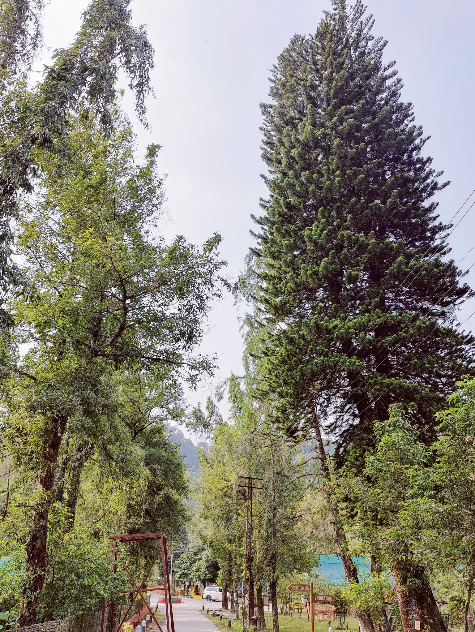 Photo from Geetesh P  Bemblikar's trip