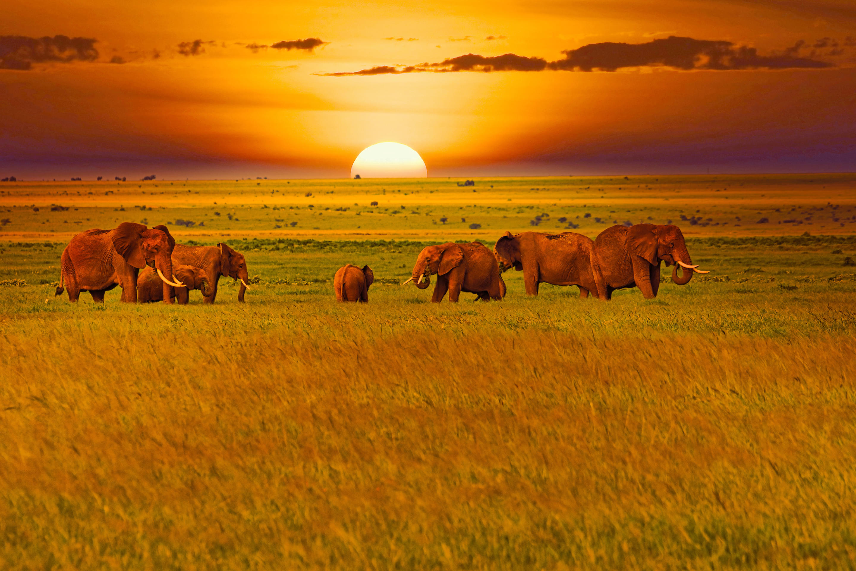 Tsavo National Park Overview