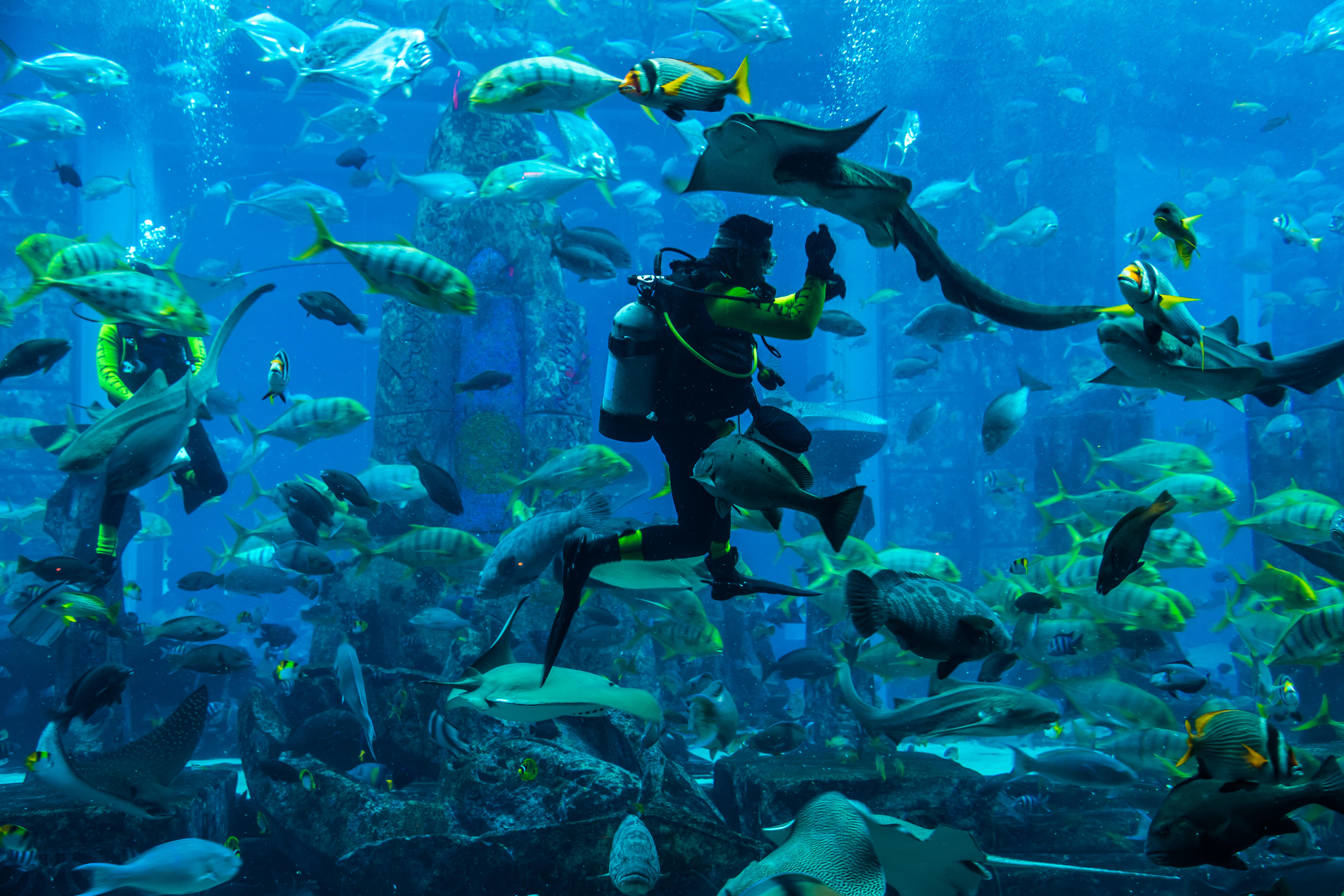 Diving in Atlantis