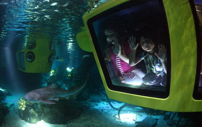 Legoland Deep Sea Adventure.jpg