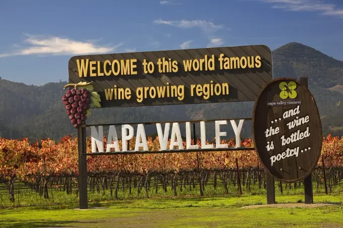 Embark on a fun wine tasting tour in Napa and Sonoma Valley in San Francisco
