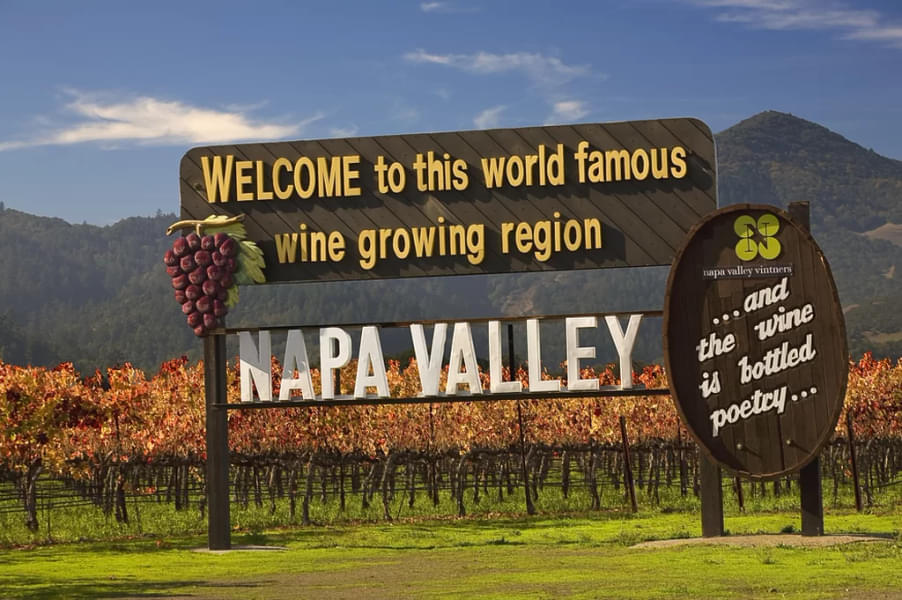 Napa and Sonoma Wine Country Tour from San Francisco Image