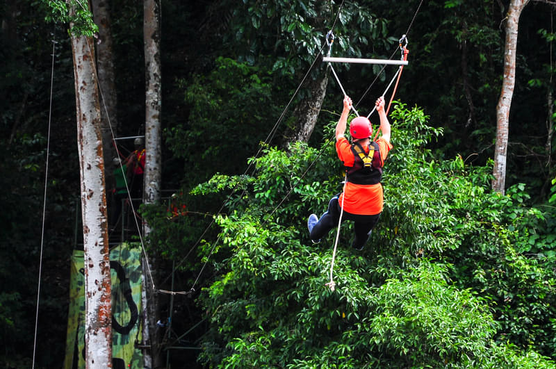 Rainforest trekking with Thai Jungle Sports - Picture of Thai Jungle Sports  - Day Tours, Chiang Mai - Tripadvisor