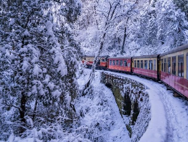 30 Things to Do in Shimla: 2024 (Starting from ₹499 Only)