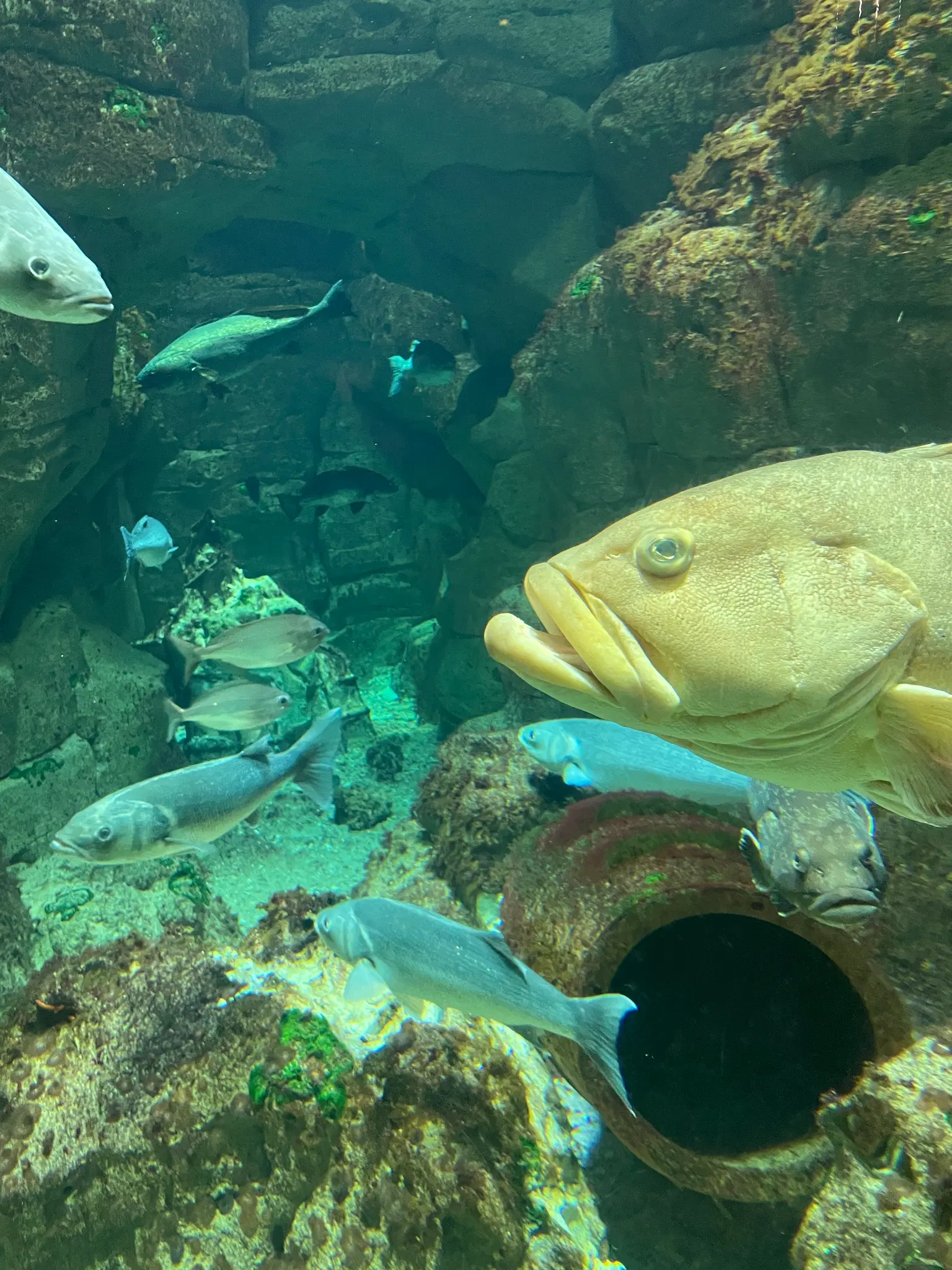 Photo from ANGELA CHEUNG's trip