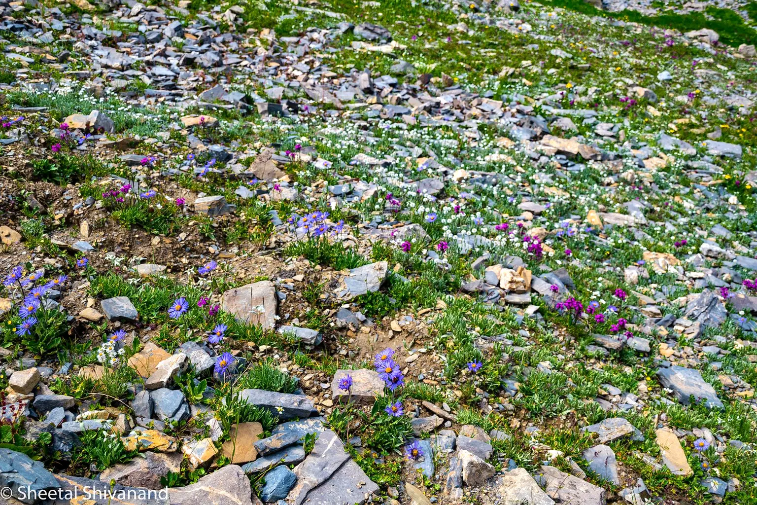 Photo from Sheetal Sheetal's trip