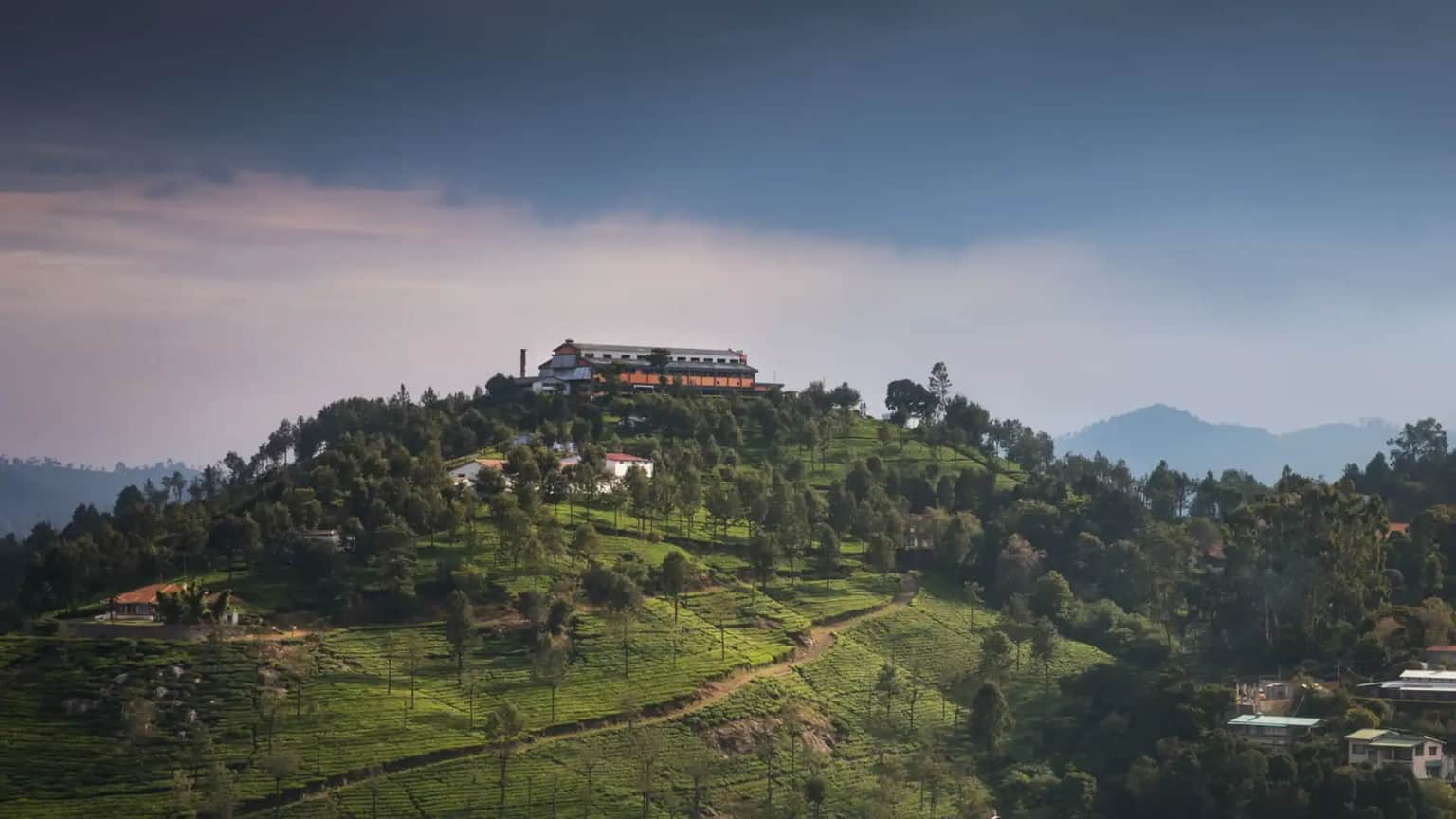 The Tea Factory & The Tea Museum