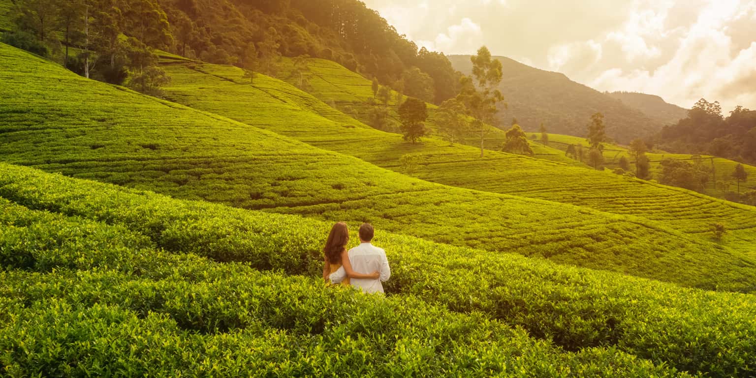 Romantic Escape to Kerala | From Tea Estates to Golden Sands