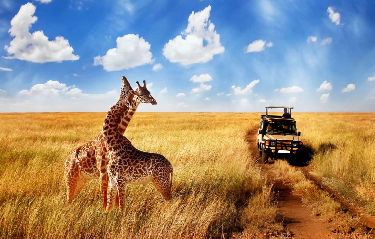 Adventurous Vacation in Tanzania with FREE Ngorongoro Crater Safari