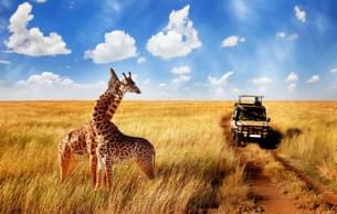 Safari jeep at Serengeti National Park