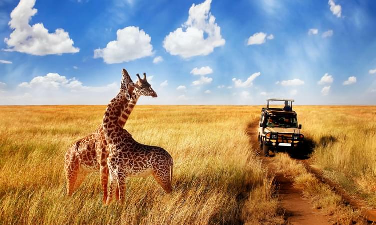 Safari jeep at Serengeti National Park