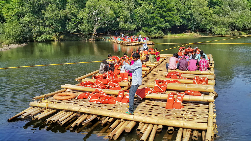 Munnar Wayanad Honeymoon Package Image