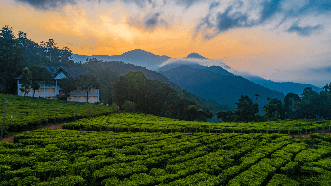 A Cozy Homestay Overlooking The Tea Plantation In Munnar Image