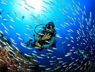 Scuba Diving at Grand Island