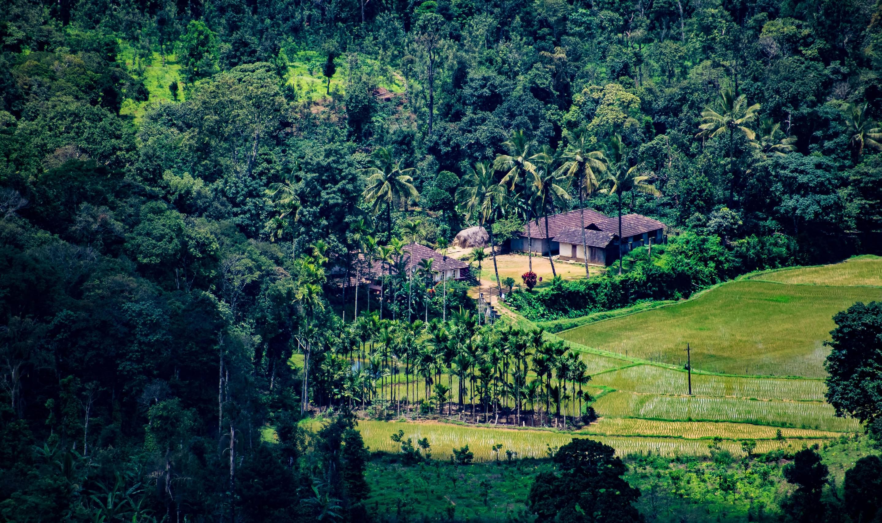 Coorg : Handpicked Tours & Packages