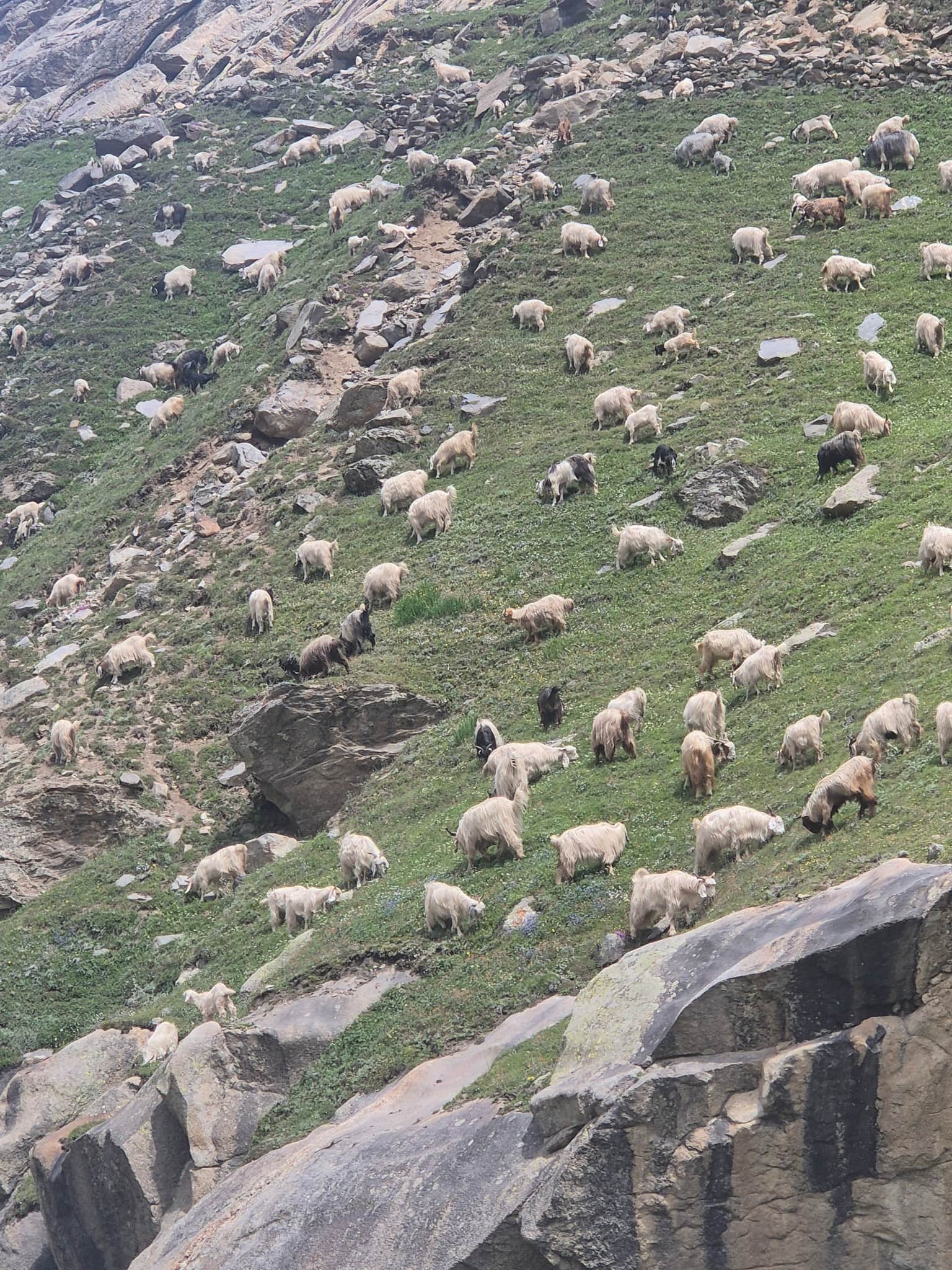 Photo from megha thirki's trip