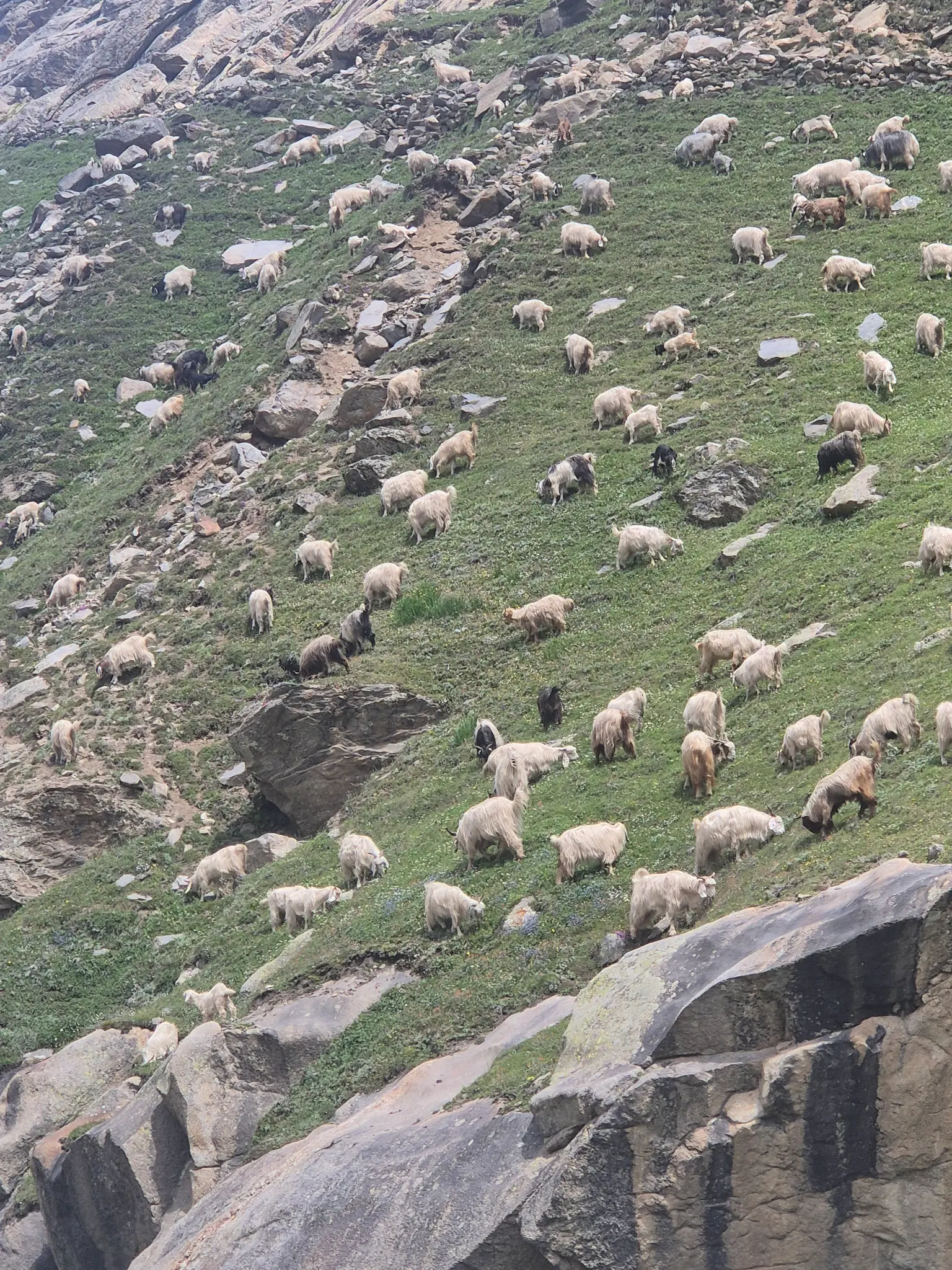 Photo from megha thirki's trip