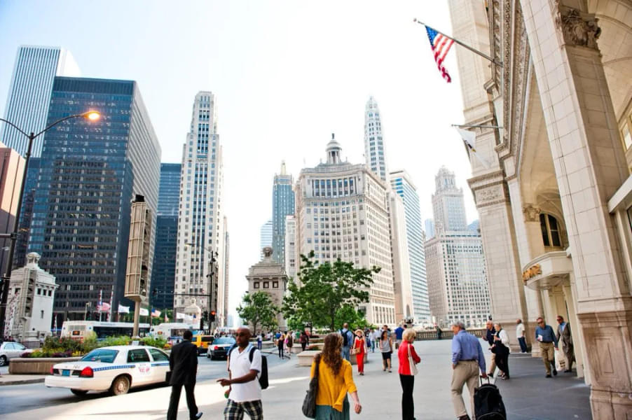 Go on a walking tour of Chicago's highlights, including its architecture & food culture