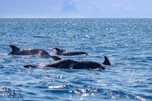 740lgdyqk5ri3rpcb1okbpytpvug kgg1duylndg5hxlr03srwgkrb85z shu