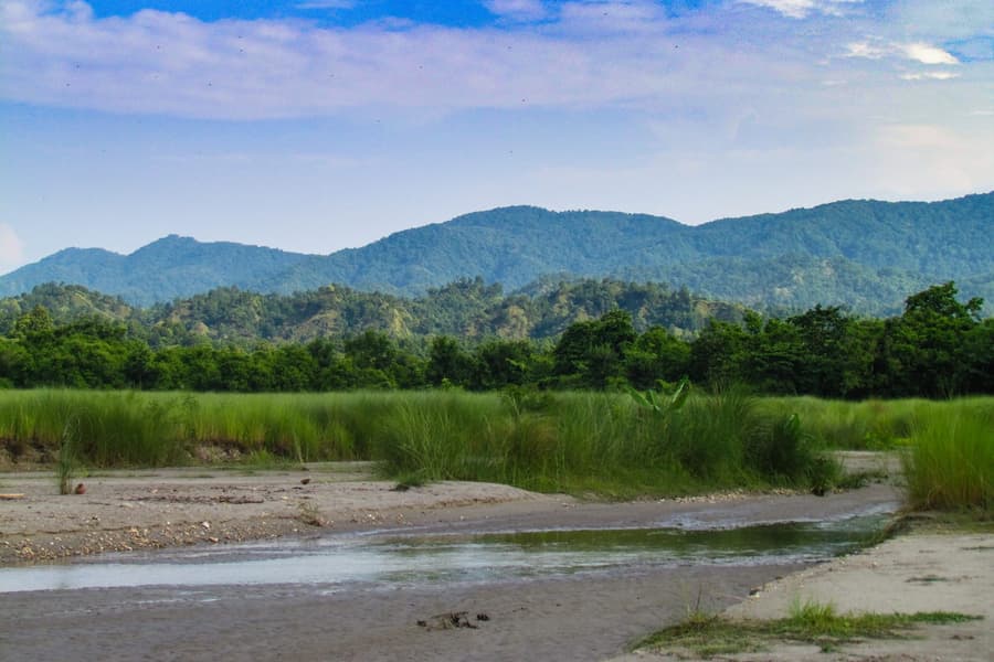 Valmiki Tiger Reserve Jeep Safari Image