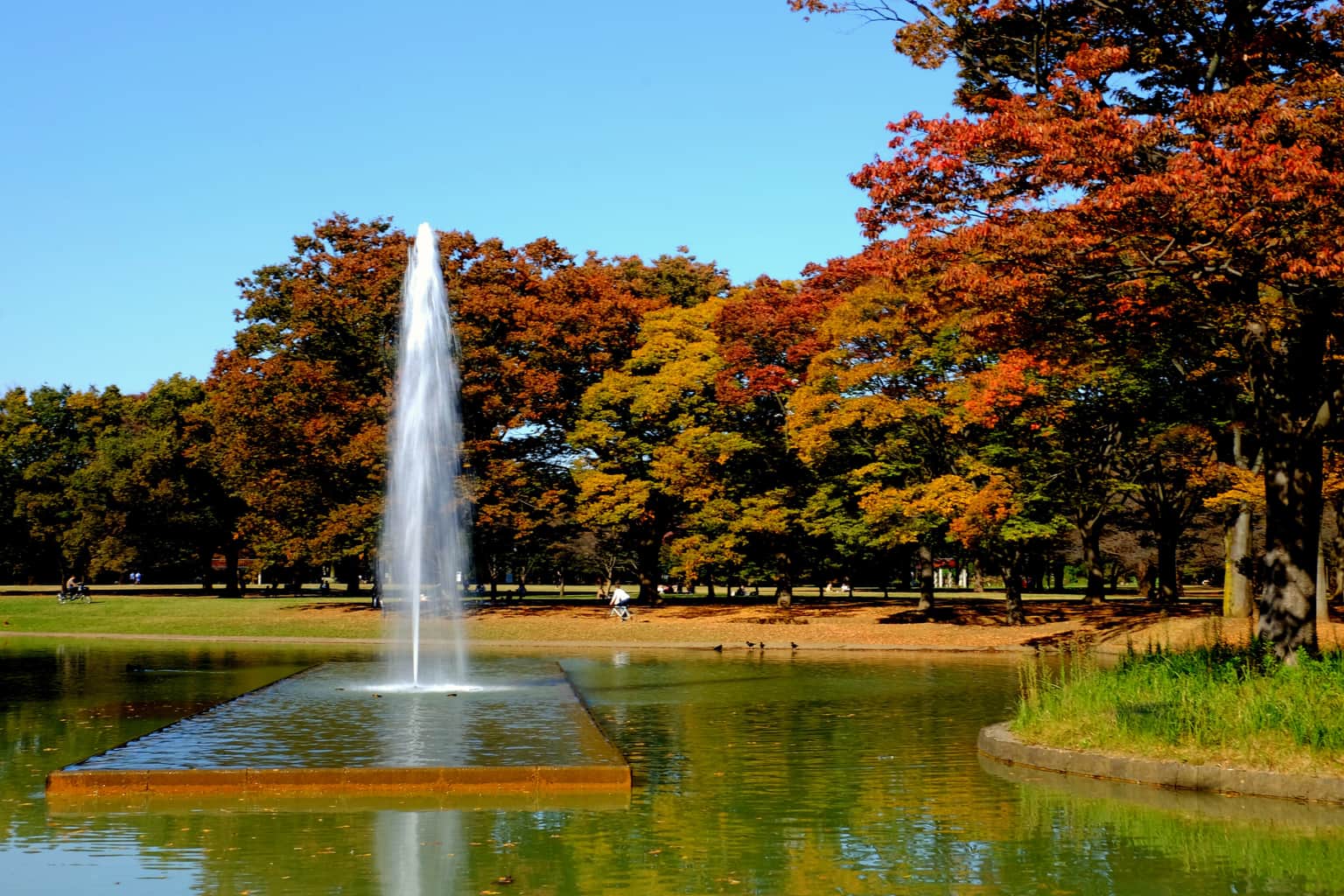 Yoyogi Park, <em>Tokyo</em>