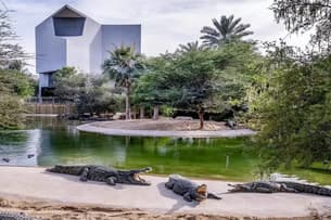 Dubai Crocodile Park Tickets