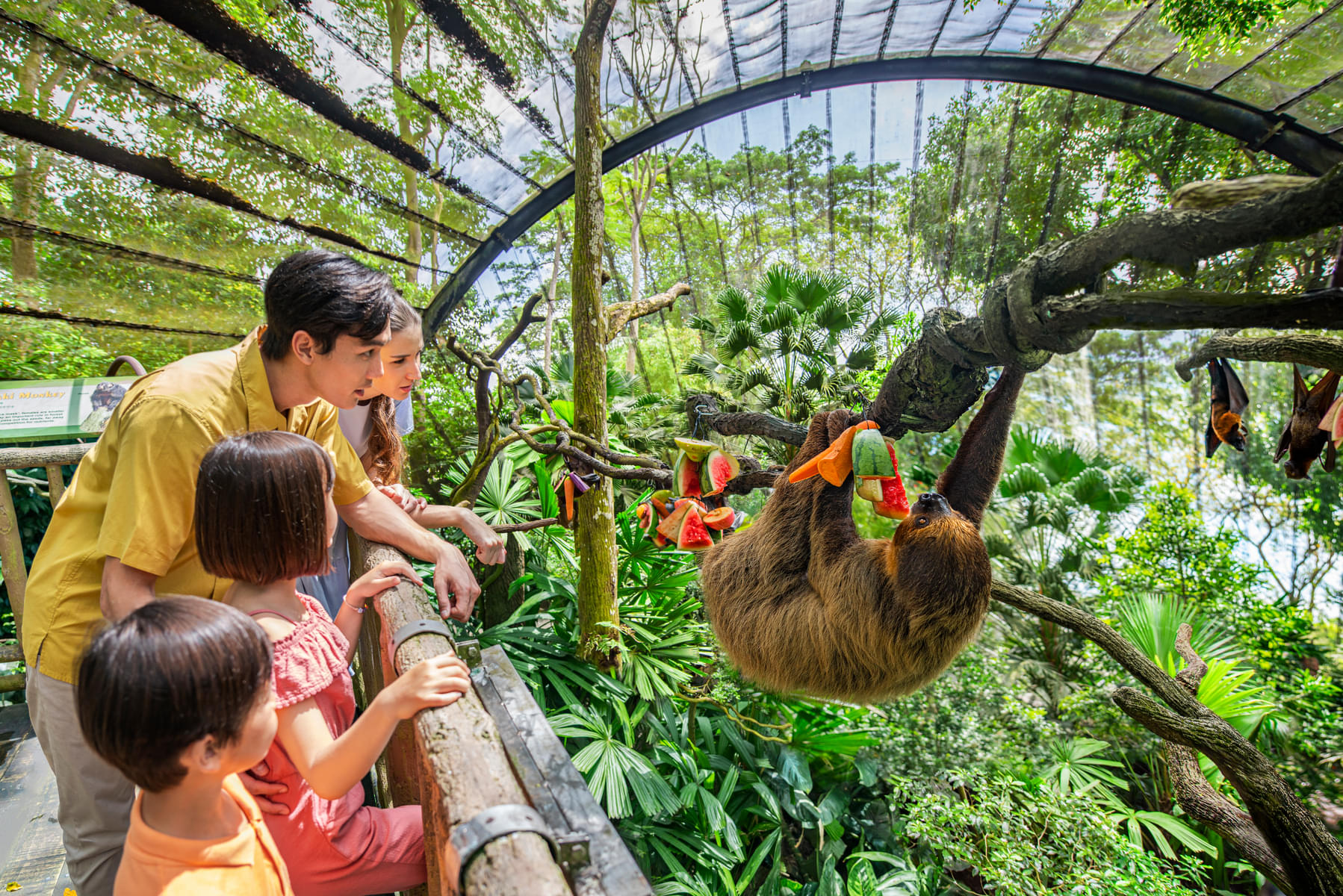 Visit the Singapore Zoo that houses more than 300 species