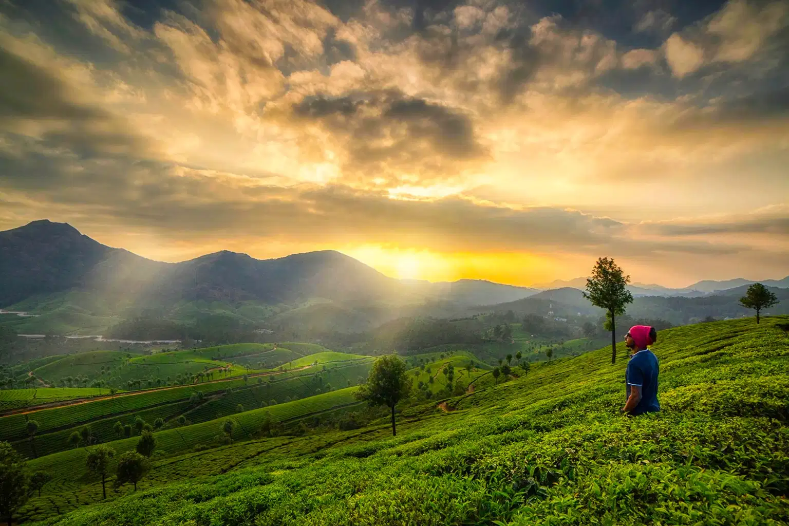 One Day Munnar Sightseeing Tour