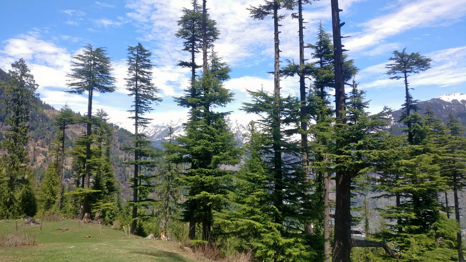 Photo from ravi shekhar's trip