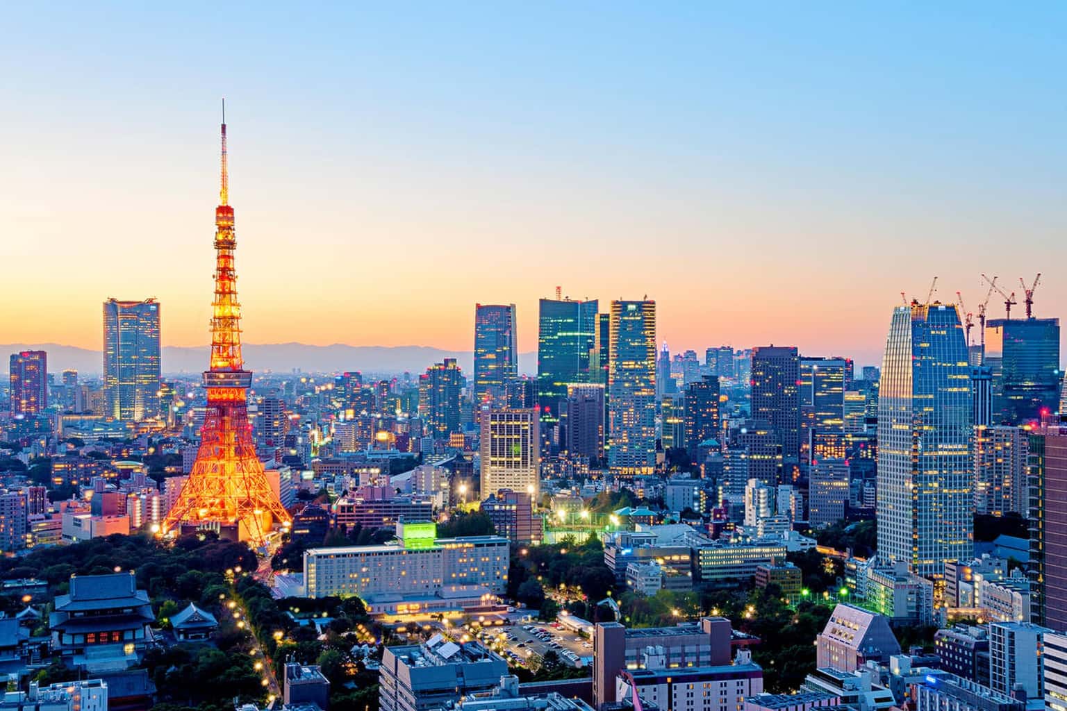 Discover Japan | Group Tour Package