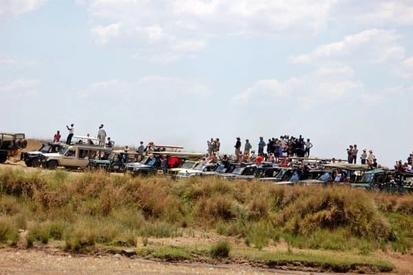 Maasai Mara And Lake Nakuru Tour In Kenya Image