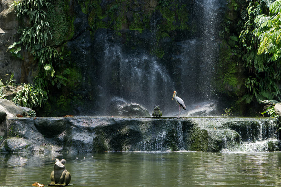Kuala Lumpur Bird Park Tickets Image