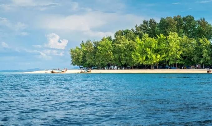 Bamboo Island